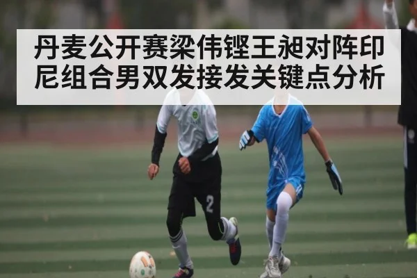 丹麦公开赛梁伟铿王昶对阵印尼组合男双发接发关键点分析